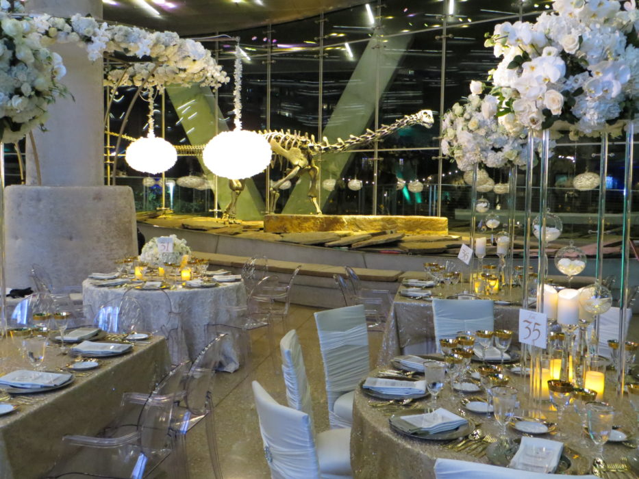 Perot Museum  of Nature Science Wedding  Venue  Dallas  TX