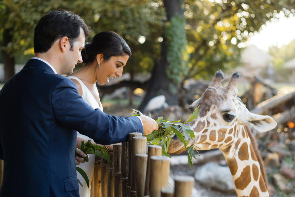 Esra and Geoffrey Feeding Giraffe