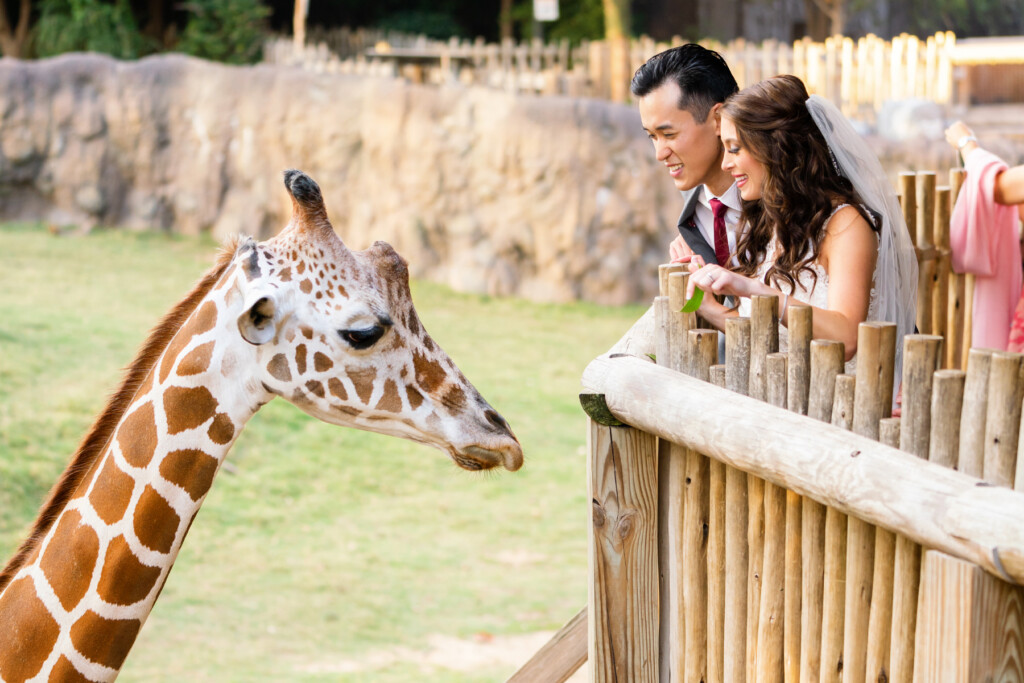 Rachel Ellerd and Eric Siu Smiling at Giraffe